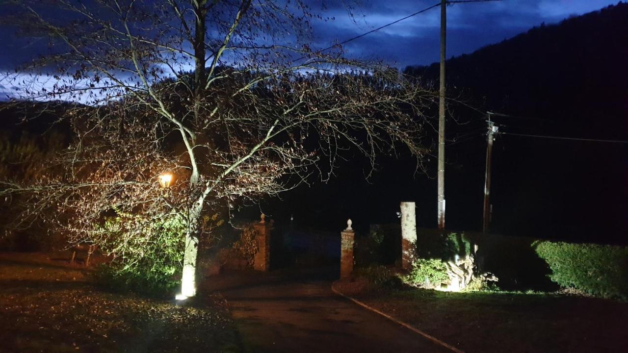 Le Wineck Villa Dambach Buitenkant foto