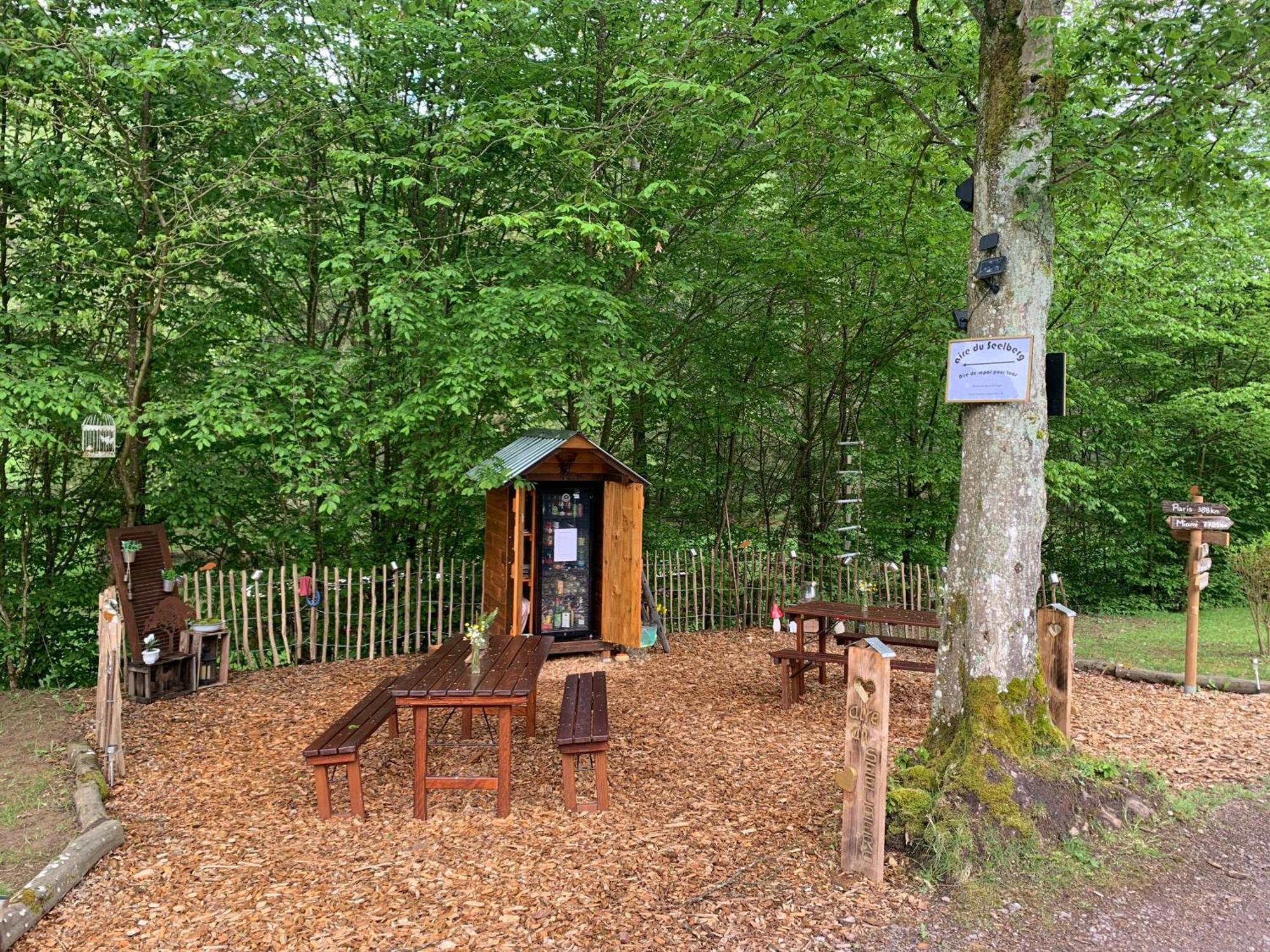 Le Wineck Villa Dambach Buitenkant foto