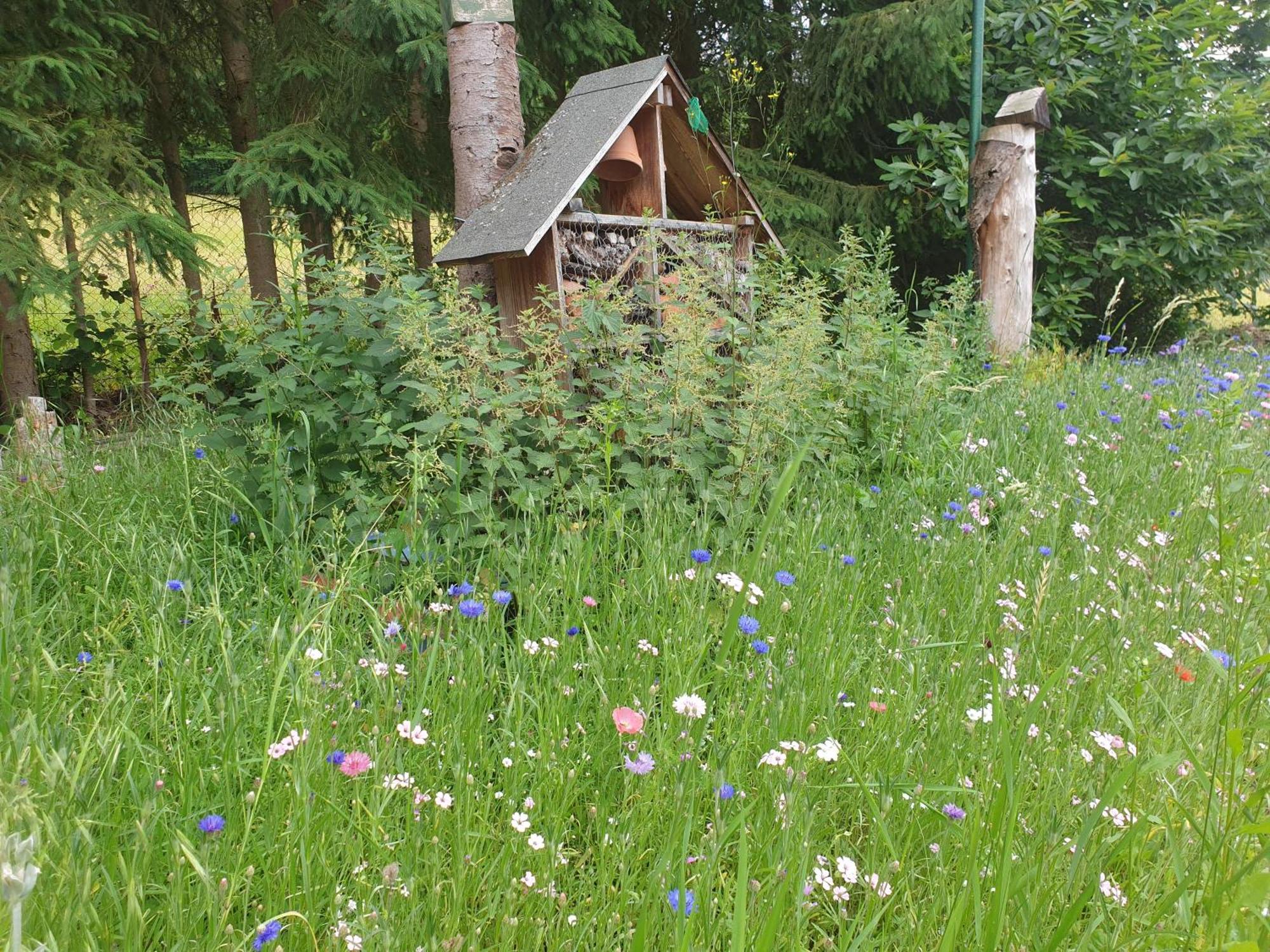 Le Wineck Villa Dambach Kamer foto