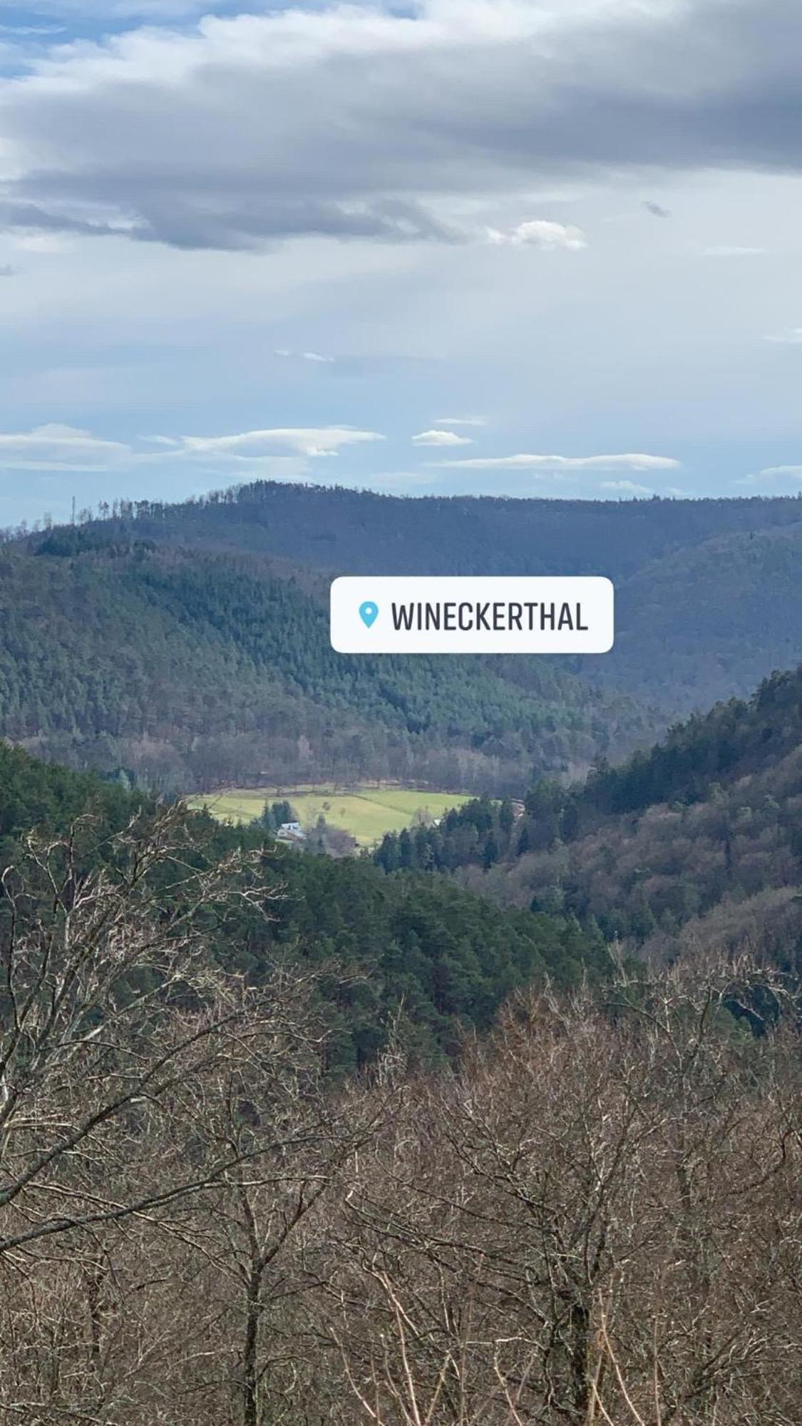 Le Wineck Villa Dambach Buitenkant foto