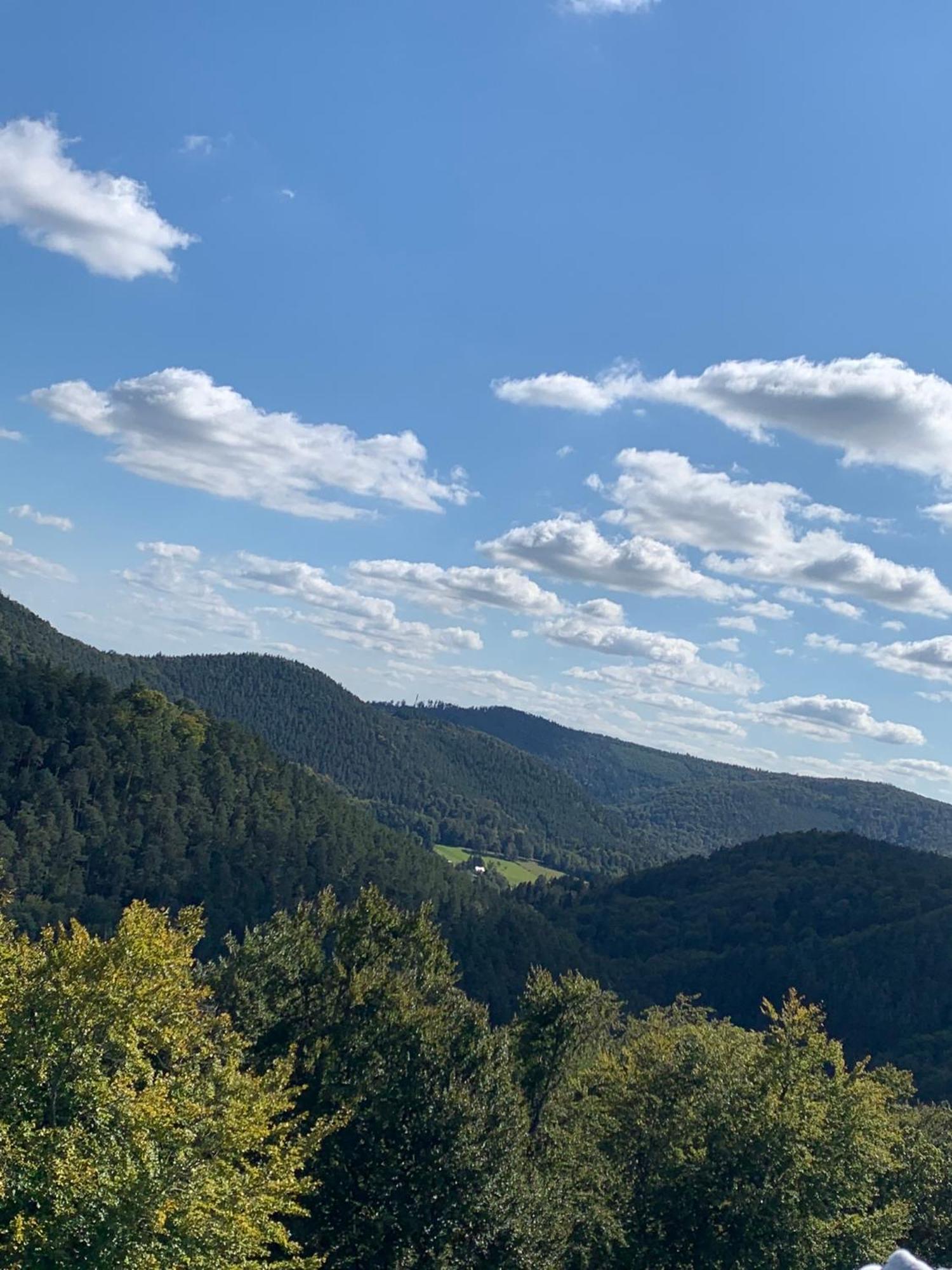 Le Wineck Villa Dambach Buitenkant foto