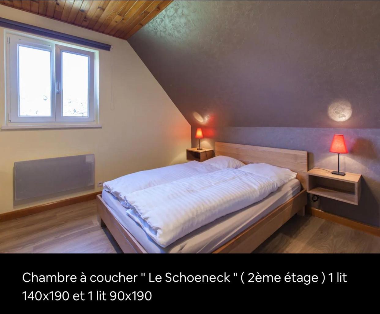 Le Wineck Villa Dambach Buitenkant foto