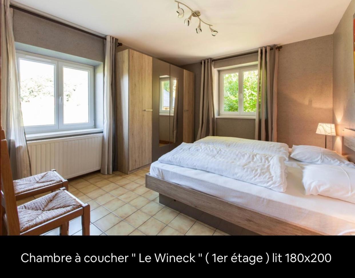 Le Wineck Villa Dambach Buitenkant foto