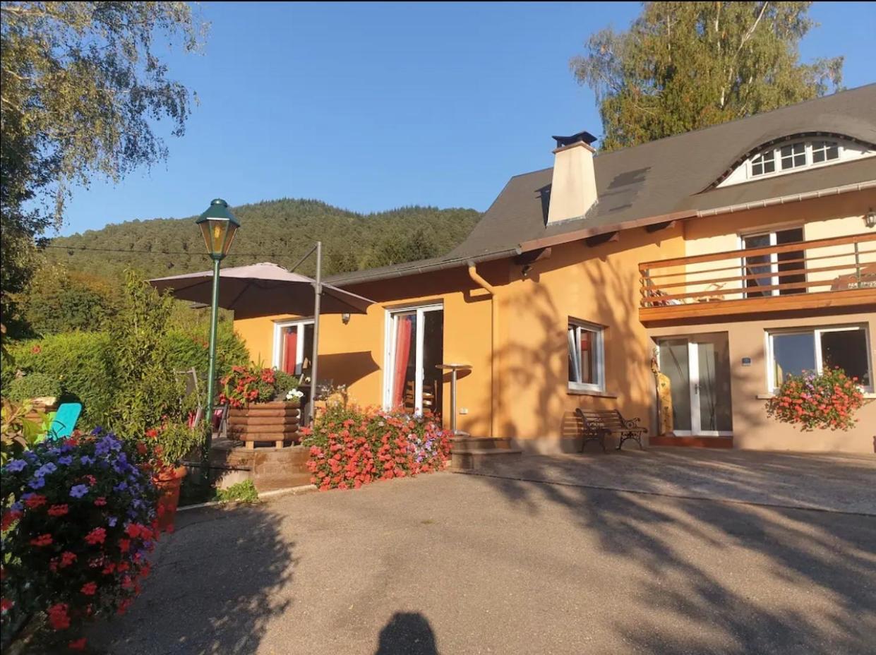Le Wineck Villa Dambach Buitenkant foto
