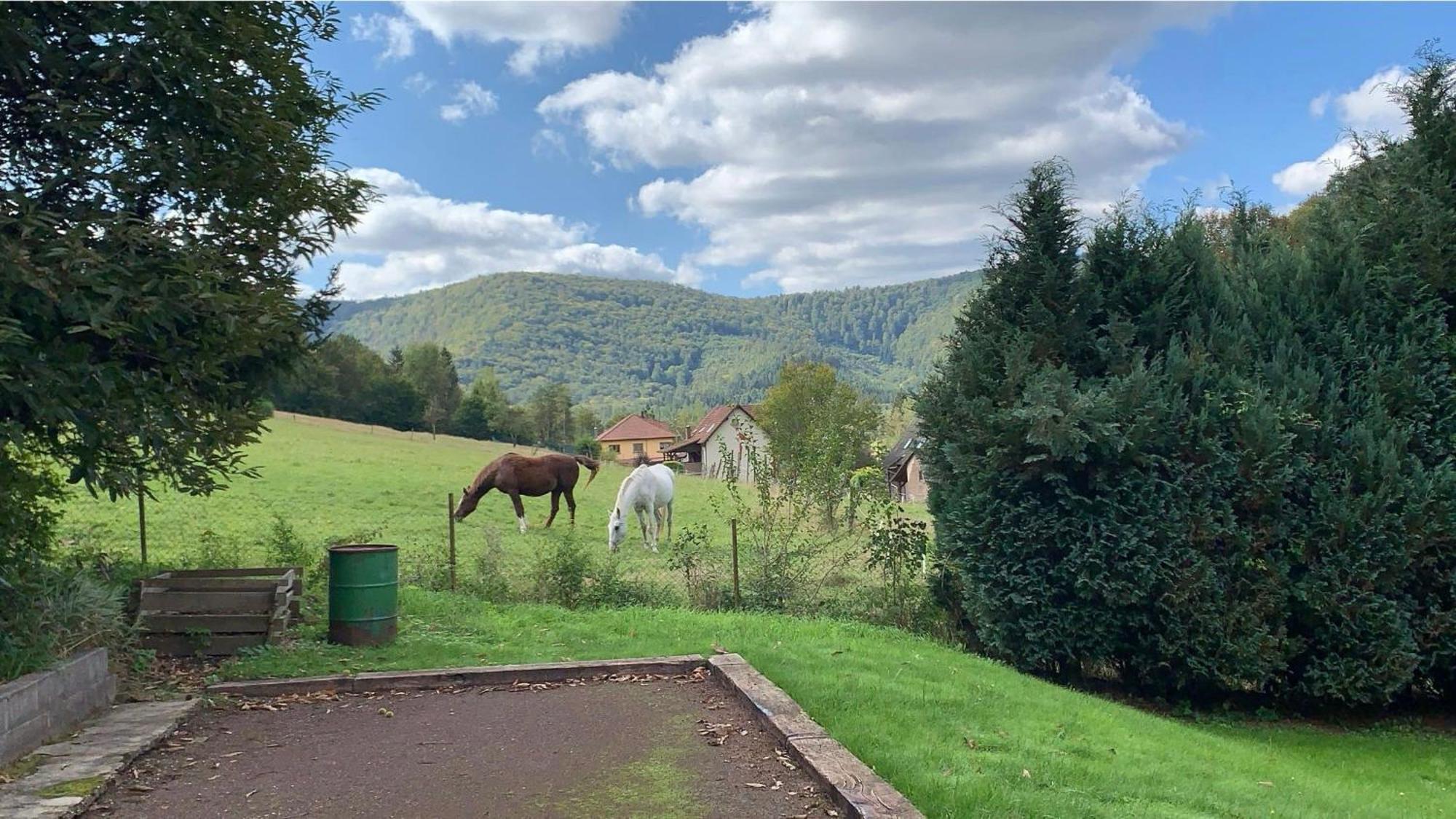 Le Wineck Villa Dambach Buitenkant foto