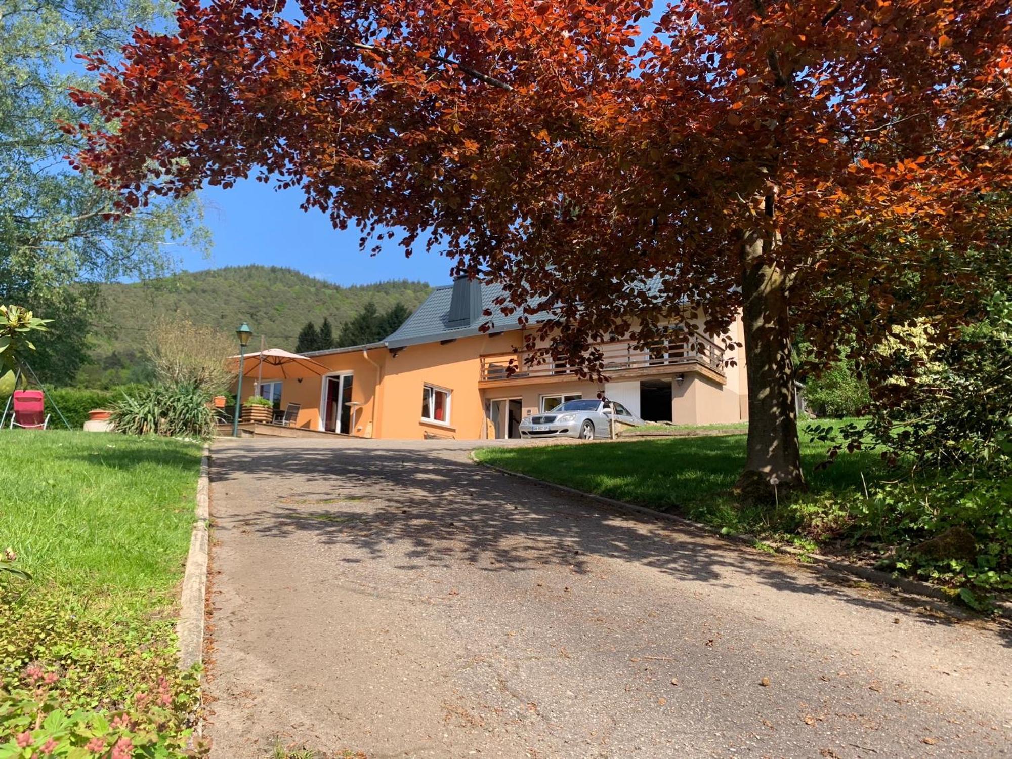 Le Wineck Villa Dambach Buitenkant foto