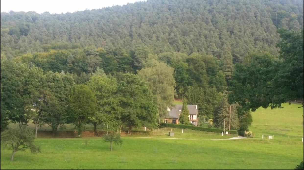Le Wineck Villa Dambach Buitenkant foto
