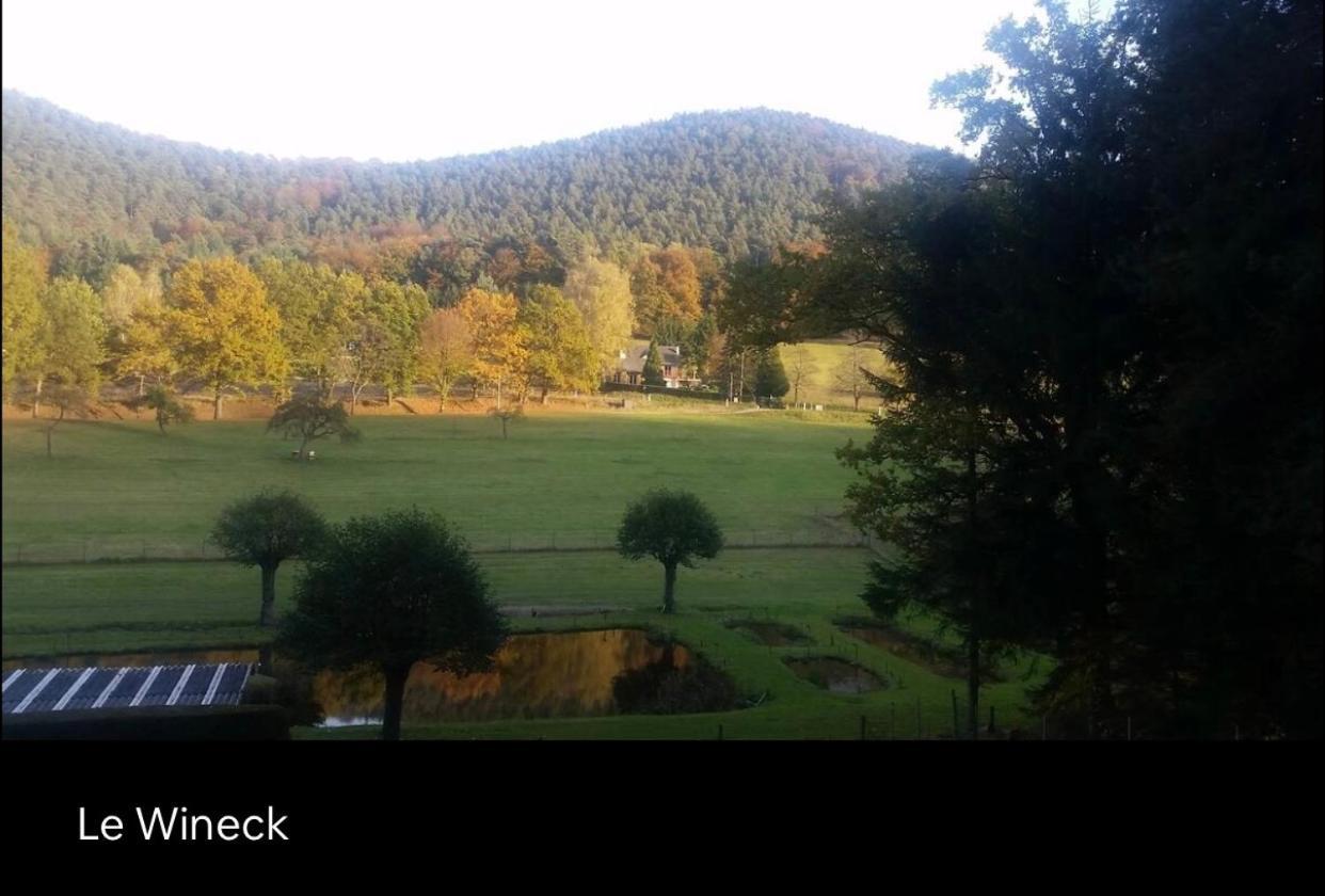 Le Wineck Villa Dambach Buitenkant foto