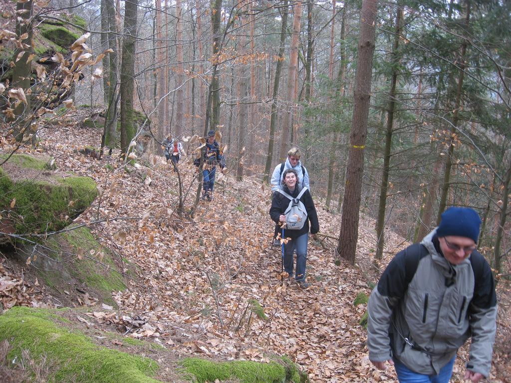 Le Wineck Villa Dambach Buitenkant foto