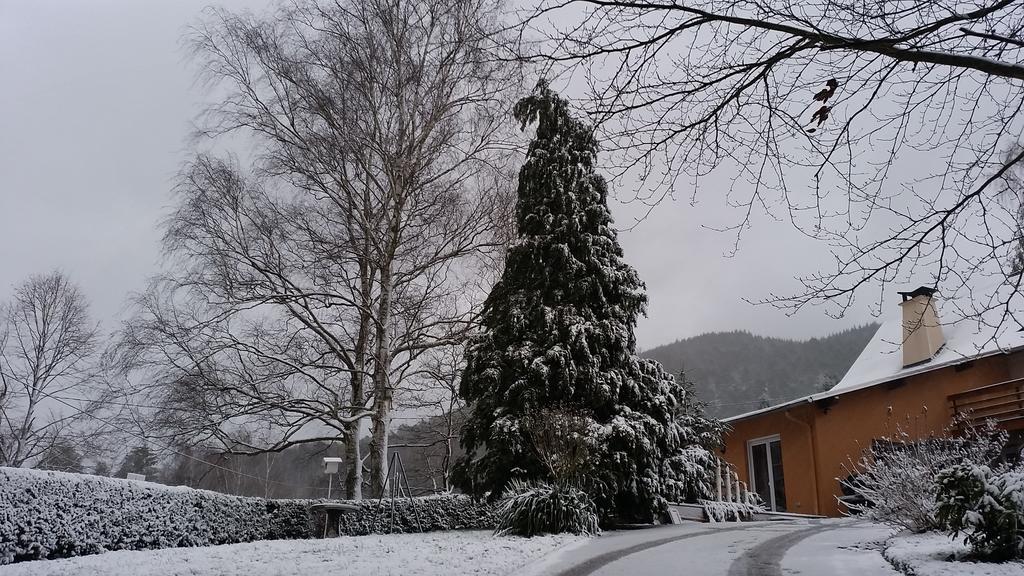 Le Wineck Villa Dambach Buitenkant foto