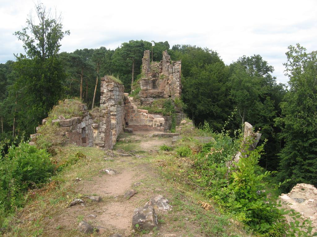Le Wineck Villa Dambach Buitenkant foto
