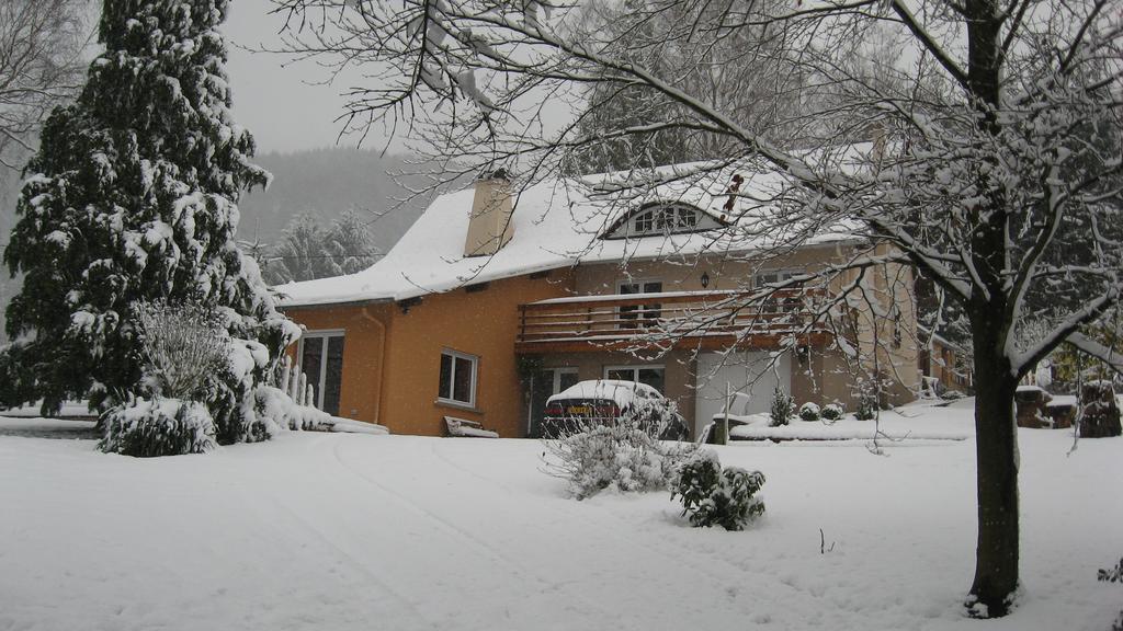Le Wineck Villa Dambach Buitenkant foto