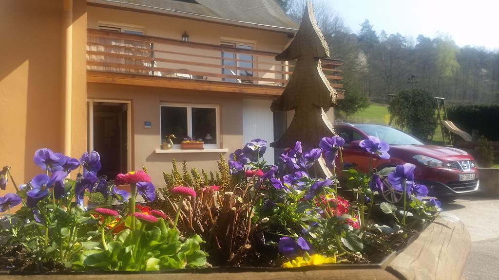 Le Wineck Villa Dambach Buitenkant foto