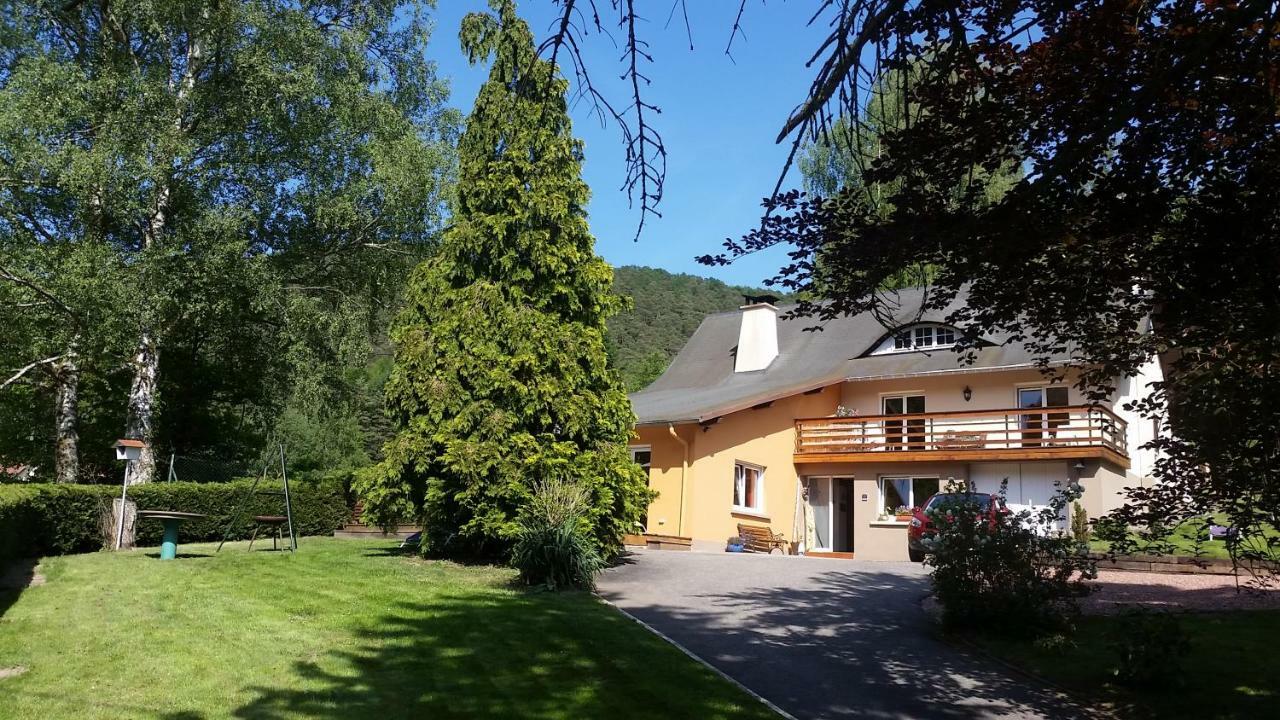 Le Wineck Villa Dambach Buitenkant foto