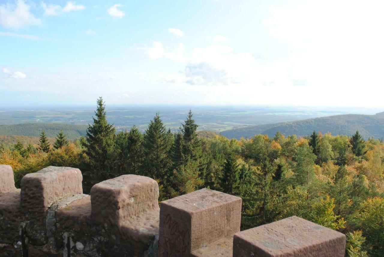Le Wineck Villa Dambach Buitenkant foto